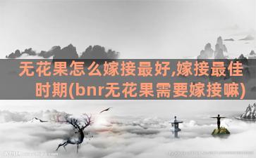 无花果怎么嫁接最好,嫁接最佳时期(bnr无花果需要嫁接嘛)