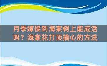 月季嫁接到海棠树上能成活吗？海棠花打顶摘心的方法