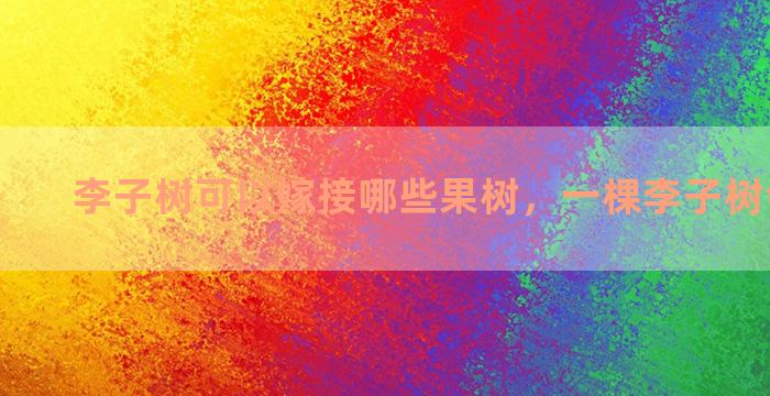 李子树可以嫁接哪些果树，一棵李子树会结果吗