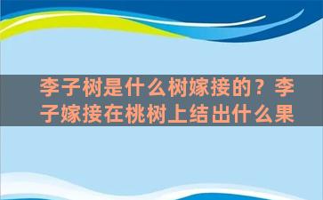 李子树是什么树嫁接的？李子嫁接在桃树上结出什么果