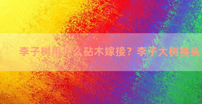 李子树用什么砧木嫁接？李子大树换头嫁接方法