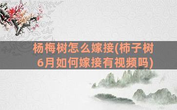 杨梅树怎么嫁接(柿子树6月如何嫁接有视频吗)