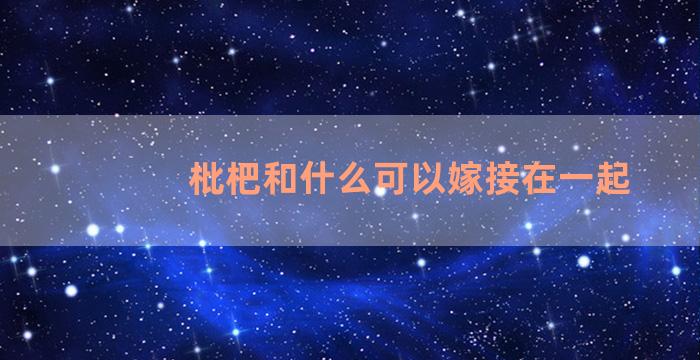 枇杷和什么可以嫁接在一起