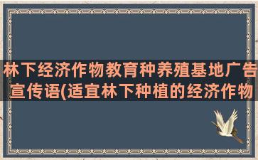 林下经济作物教育种养殖基地广告宣传语(适宜林下种植的经济作物)