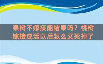 果树不嫁接能结果吗？桃树嫁接成活以后怎么又死掉了