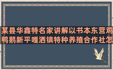 某县华鑫特名家讲解以书本东营鸡鸭鹅新平嘎洒镇特种养殖合作社怎么审本