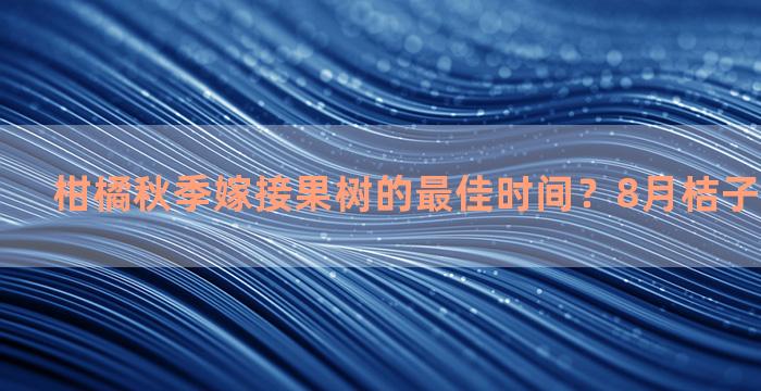 柑橘秋季嫁接果树的最佳时间？8月桔子树嫁接方法