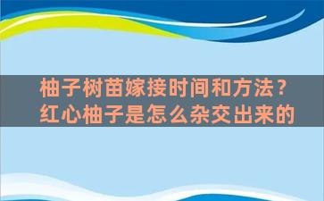 柚子树苗嫁接时间和方法？红心柚子是怎么杂交出来的