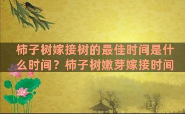 柿子树嫁接树的最佳时间是什么时间？柿子树嫩芽嫁接时间