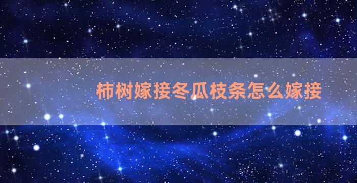 柿树嫁接冬瓜枝条怎么嫁接