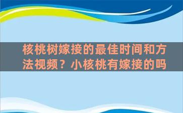 核桃树嫁接的最佳时间和方法视频？小核桃有嫁接的吗