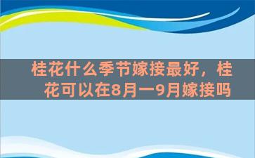 桂花什么季节嫁接最好，桂花可以在8月一9月嫁接吗