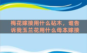 梅花嫁接用什么砧木，谁告诉我玉兰花用什么母本嫁接