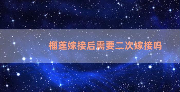 榴莲嫁接后需要二次嫁接吗