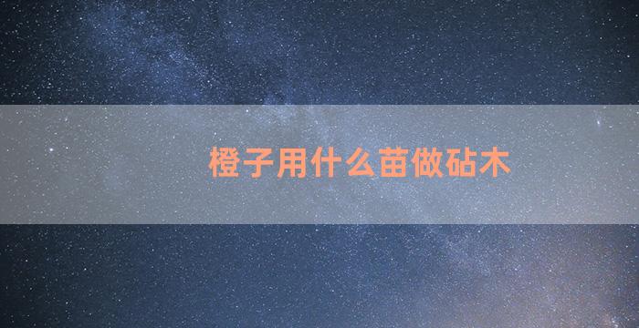 橙子用什么苗做砧木