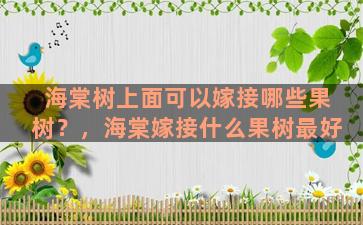 海棠树上面可以嫁接哪些果树？，海棠嫁接什么果树最好