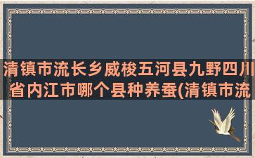 清镇市流长乡威梭五河县九野四川省内江市哪个县种养蚕(清镇市流长乡幼儿园)