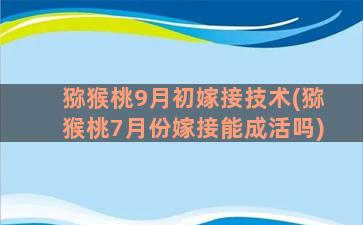 猕猴桃9月初嫁接技术(猕猴桃7月份嫁接能成活吗)