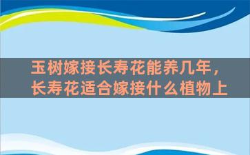 玉树嫁接长寿花能养几年，长寿花适合嫁接什么植物上