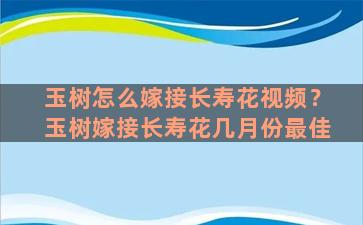 玉树怎么嫁接长寿花视频？玉树嫁接长寿花几月份最佳