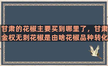 甘肃的花椒主要买到哪里了，甘肃金权无刺花椒是由啥花椒品种转化来的