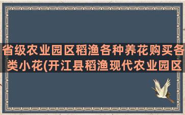 省级农业园区稻渔各种养花购买各类小花(开江县稻渔现代农业园区)