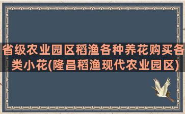 省级农业园区稻渔各种养花购买各类小花(隆昌稻渔现代农业园区)