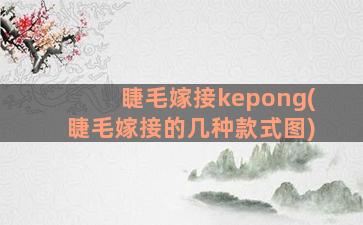 睫毛嫁接kepong(睫毛嫁接的几种款式图)