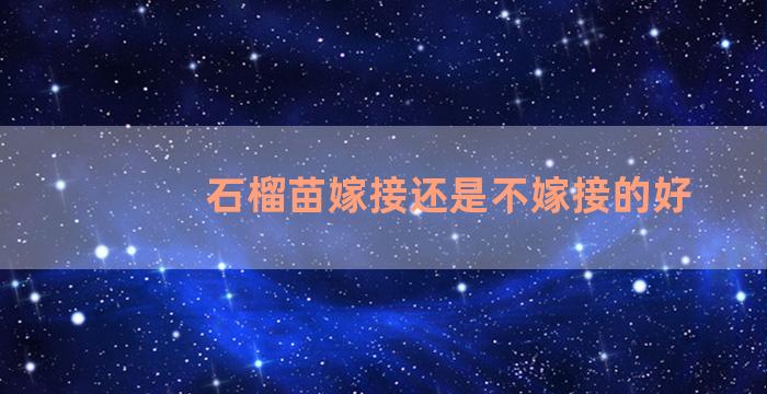 石榴苗嫁接还是不嫁接的好