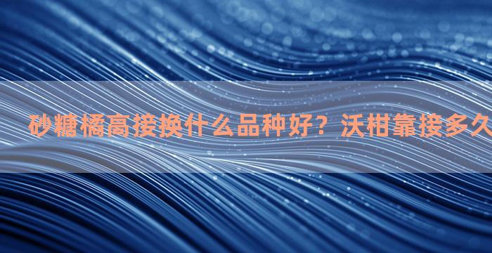 砂糖橘高接换什么品种好？沃柑靠接多久能恢复树势