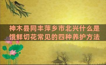 神木县同丰萍乡市北兴什么是饿鲜切花常见的四种养护方法