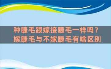 种睫毛跟嫁接睫毛一样吗？嫁睫毛与不嫁睫毛有啥区别