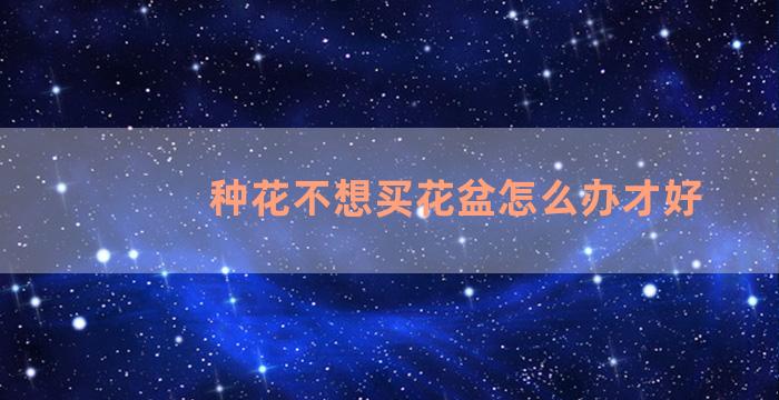 种花不想买花盆怎么办才好