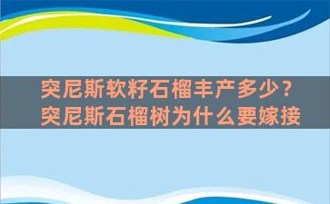 突尼斯软籽石榴丰产多少？突尼斯石榴树为什么要嫁接