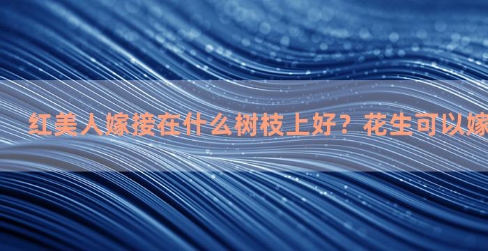 红美人嫁接在什么树枝上好？花生可以嫁接到树上吗