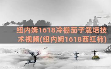 纽内姆1618冷棚茄子栽培技术视频(纽内姆1618西红柿)