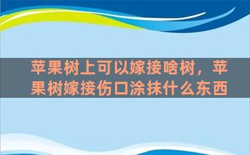 苹果树上可以嫁接啥树，苹果树嫁接伤口涂抹什么东西