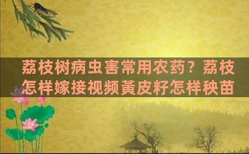 荔枝树病虫害常用农药？荔枝怎样嫁接视频黃皮籽怎样秧苗