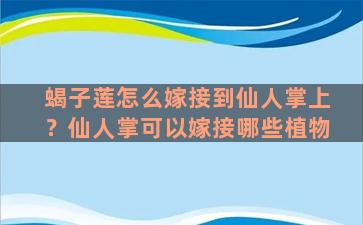 蝎子莲怎么嫁接到仙人掌上？仙人掌可以嫁接哪些植物