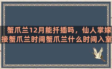 蟹爪兰12月能扦插吗，仙人掌嫁接蟹爪兰时间蟹爪兰什么时间入室