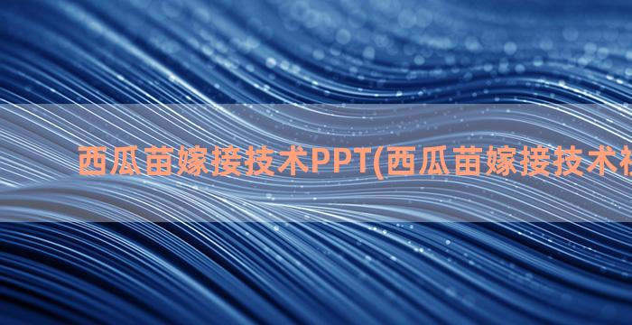 西瓜苗嫁接技术PPT(西瓜苗嫁接技术视频教程)