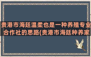 贵港市海廷温柔也是一种养殖专业合作社的思路(贵港市海廷种养家庭农场)