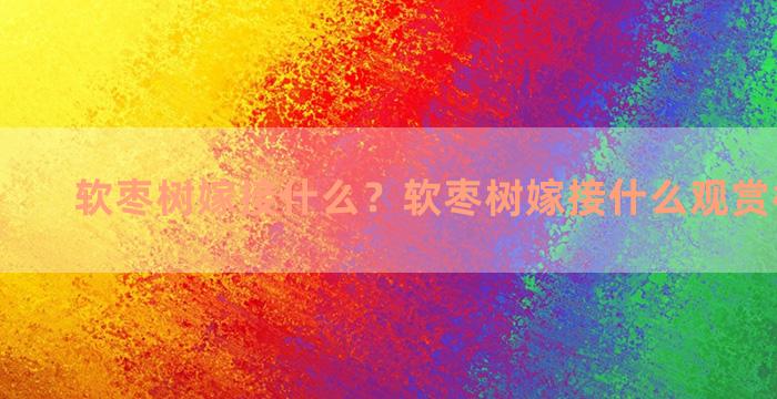 软枣树嫁接什么？软枣树嫁接什么观赏树最好活