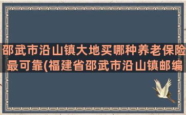 邵武市沿山镇大地买哪种养老保险最可靠(福建省邵武市沿山镇邮编)