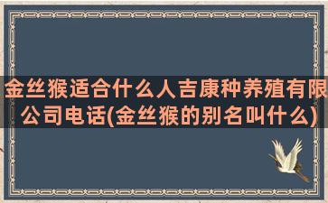 金丝猴适合什么人吉康种养殖有限公司电话(金丝猴的别名叫什么)