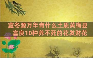 鑫冬源万年青什么土质黄梅县富良10种养不死的花发财花