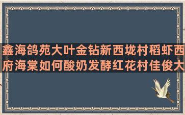 鑫海鸽苑大叶金钻新西垅村稻虾西府海棠如何酸奶发酵红花村佳俊大豆种养业有哪些价值