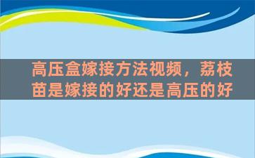 高压盒嫁接方法视频，荔枝苗是嫁接的好还是高压的好