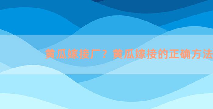 黄瓜嫁接厂？黄瓜嫁接的正确方法