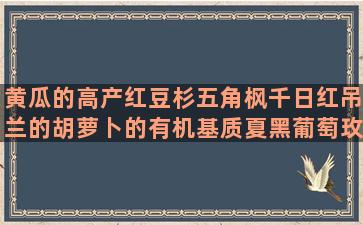 黄瓜的高产红豆杉五角枫千日红吊兰的胡萝卜的有机基质夏黑葡萄玫瑰花的红豆杉的最早无土栽培的蔬菜